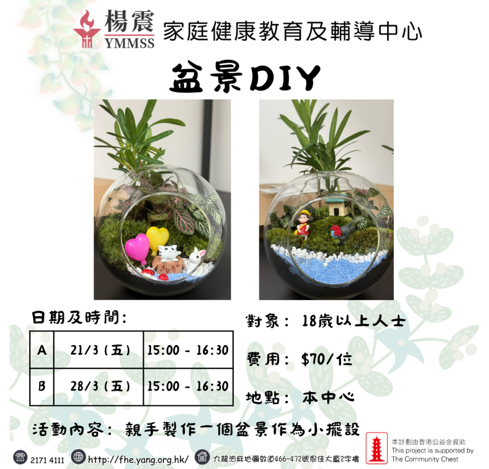 盆景DIY (1)